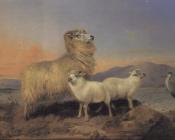 理查德 安斯德尔 : A Ewe with Lambs and a Heron Beside a Loch
